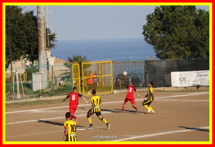 181111 Cepha_Milazzo 110_tn.JPG